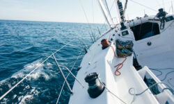 Experience The Best Yacht Charter Riviera Maya Services